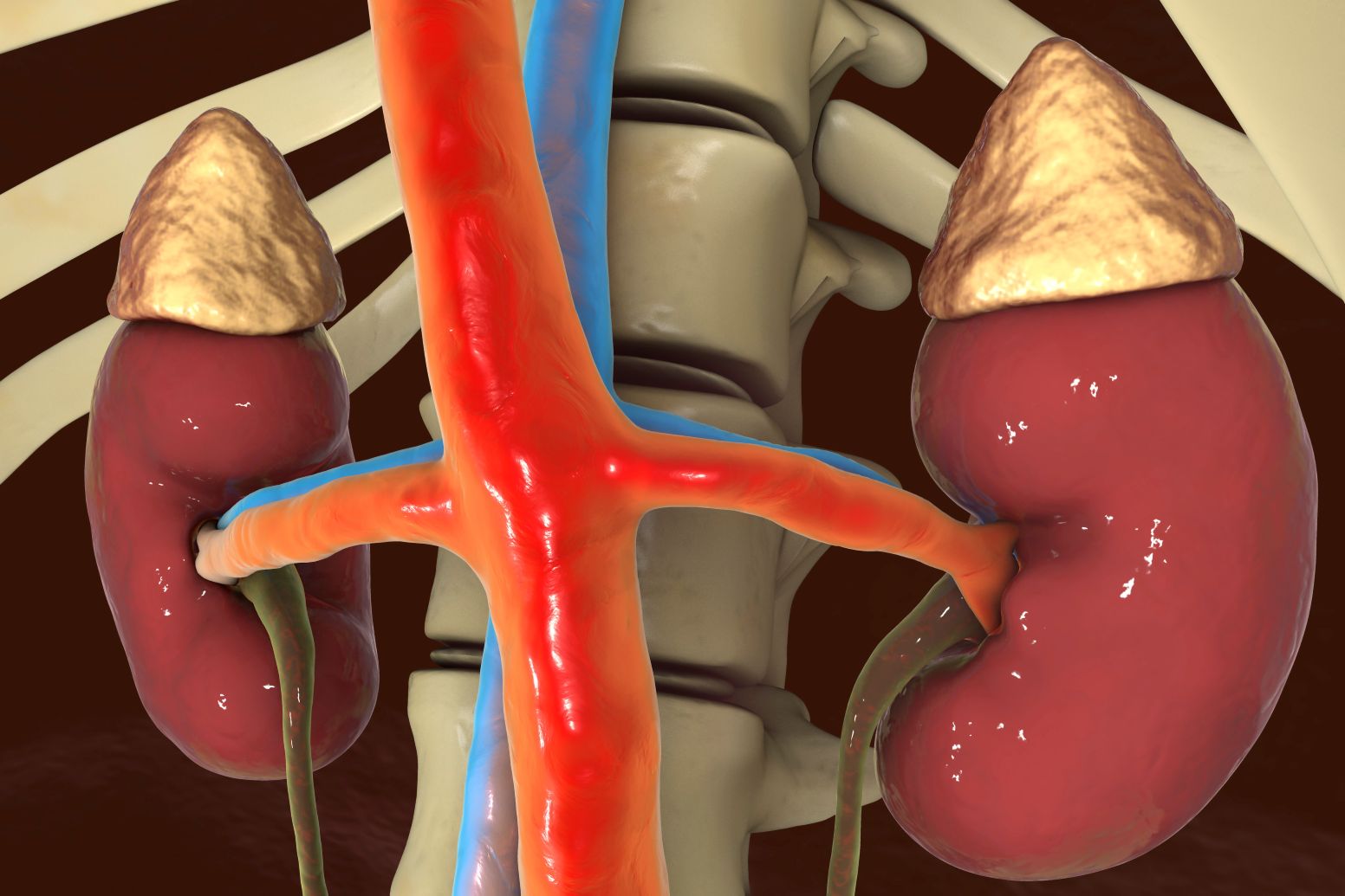 Leaving the ureter stone unturned – Doc held negligent