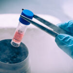 Stem cell storage dispute exposes a legal gap — And a growing need for protocols