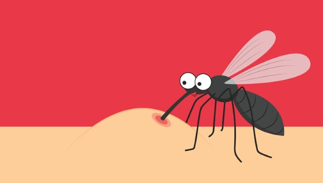Dengue shock shocks patient’s family