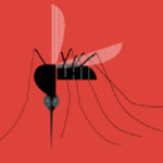 Malaria parasite almost infects this hospital and its doctors