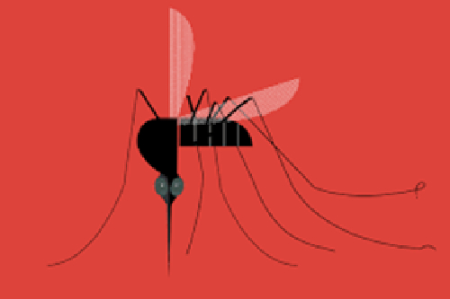 Malaria parasite almost infects this hospital and its doctors