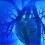 The dire need of standardizing angiography reporting