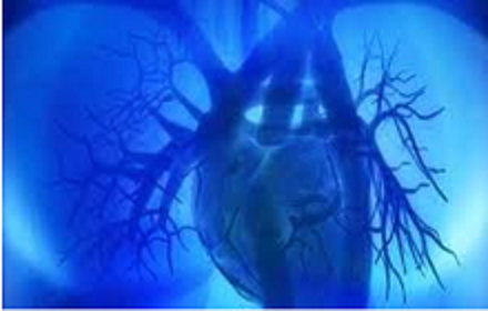 The dire need of standardizing angiography reporting